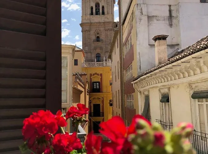Holidays2malaga Cathedral View Málaga
